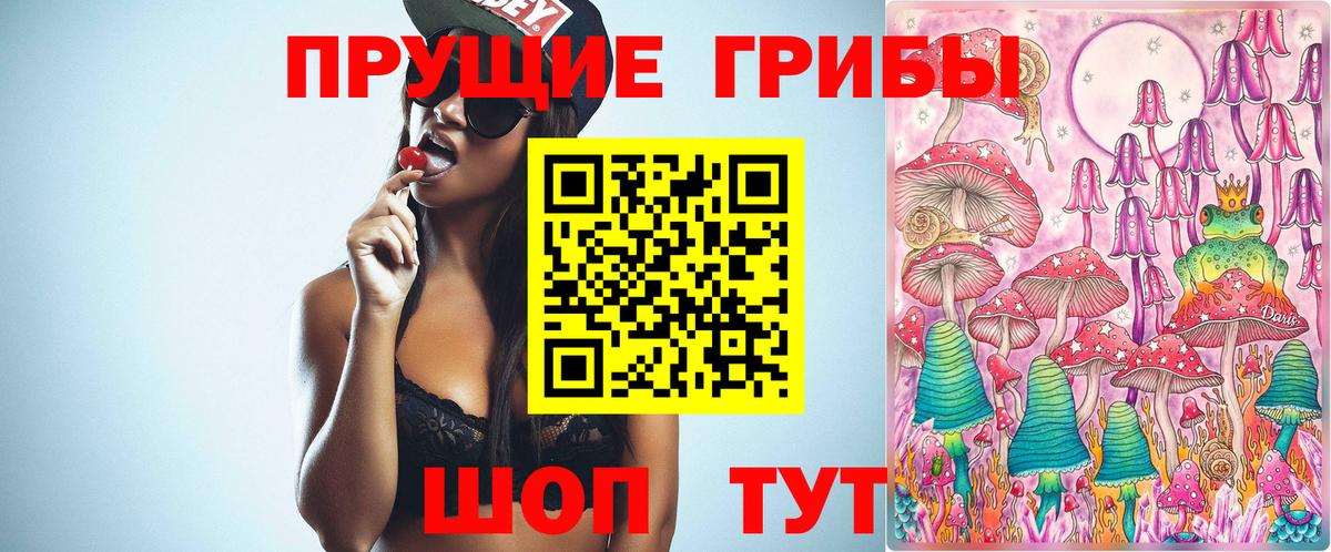 Псилоцибиновые грибы прущие грибы Знаменск